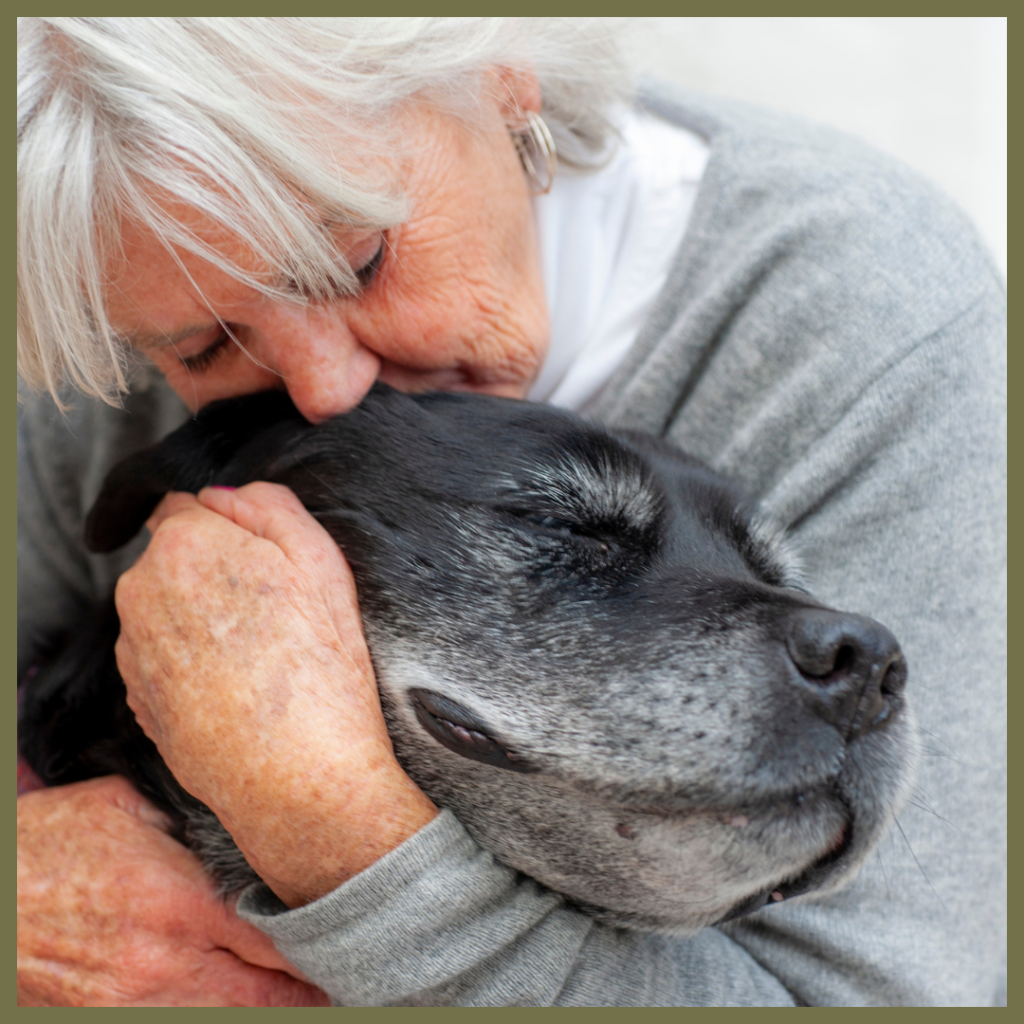 A close-up photograph with text overlay that reads "Crisis kits for pets." The image shows an older woman with grey hair affectionately embracing a large black dog with a grey muzzle, her face pressed against the dog's head.