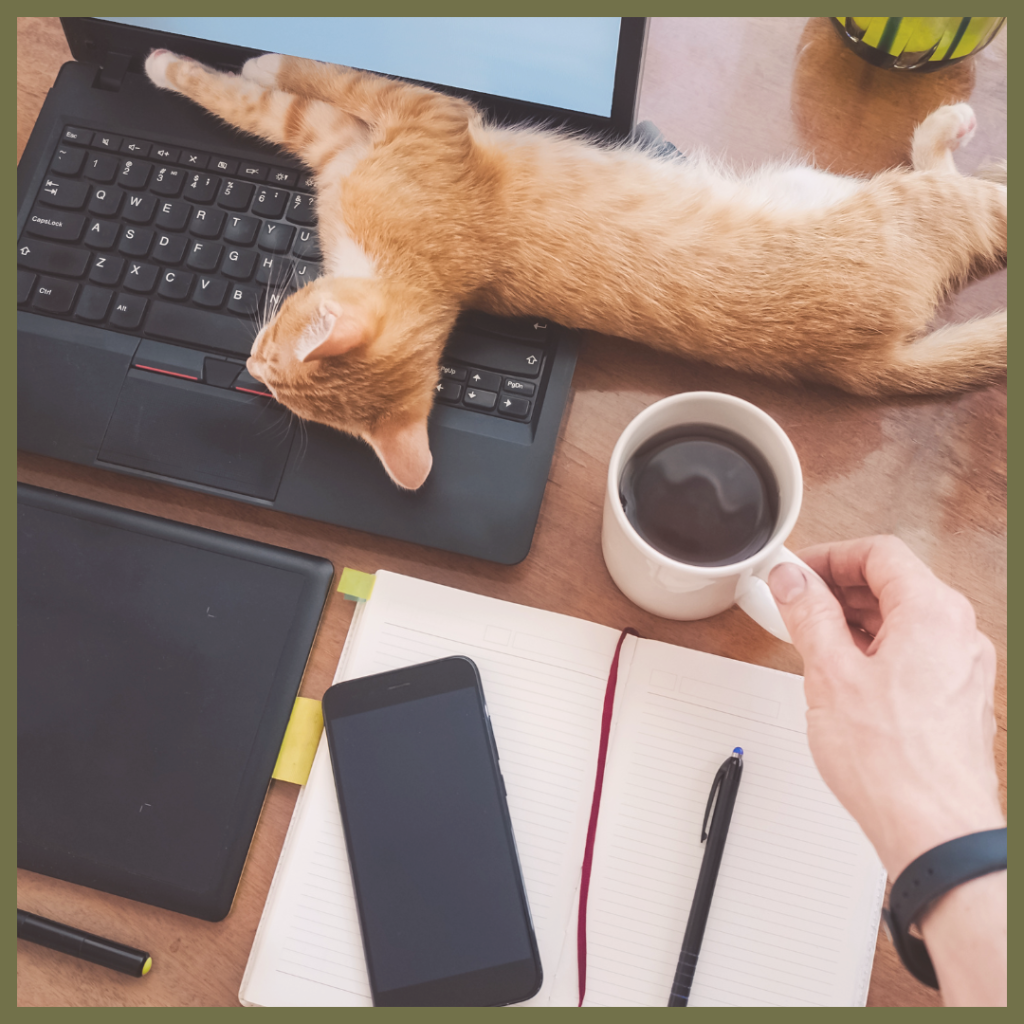 A top-down photograph with text overlay that reads "Back at work; what does it mean for your four-legged friend?" The image shows an orange tabby cat lounging across a laptop keyboard on a wooden desk, next to a coffee mug, smartphone, and notebook.