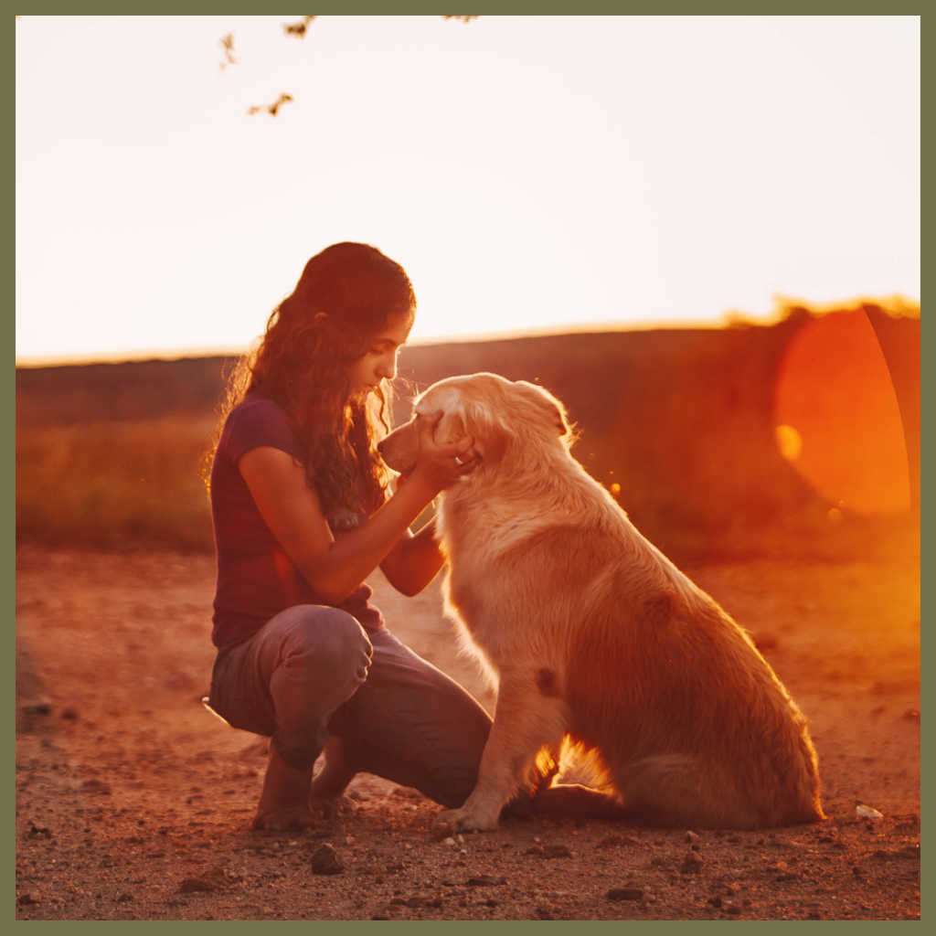 A photograph with text overlay that reads "Though you haven’t left, grief has already taken its place." The image shows a person kneeling and holding the head of a Golden Retriever, bathed in warm sunset light.