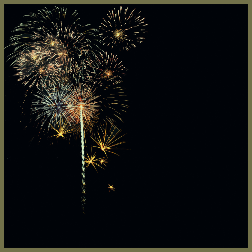 Graphic titled "Keeping Calm: Top Tips for Pet Carers During Firework Season," featuring colorful fireworks exploding in a dark night sky.