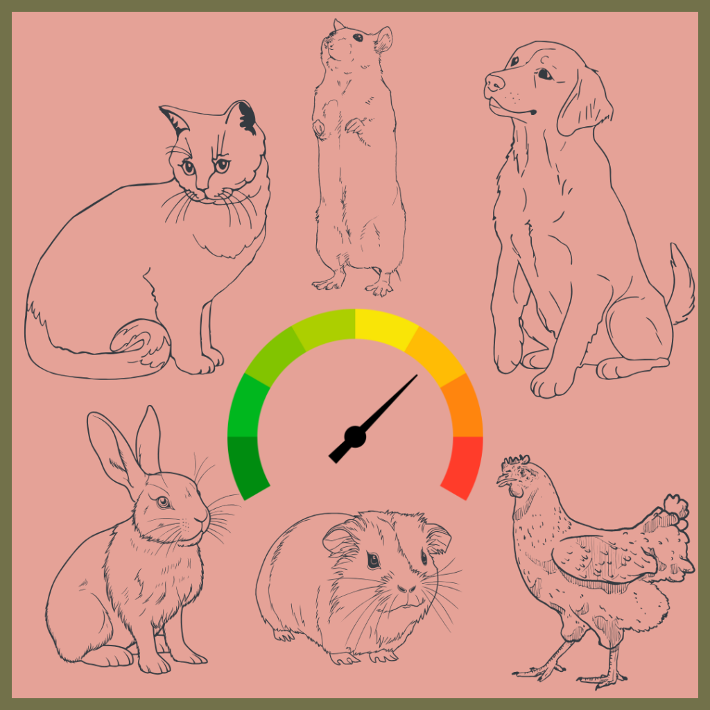 An illustration titled "Quality of life scoring for pets" features a central gauge with a needle, surrounded by line drawings of a cat, guinea pig, dog, rabbit, chicken, and hamster.