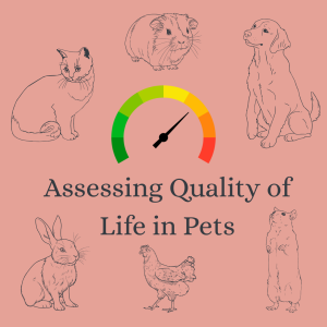 Assessing Quality of Life in Pets