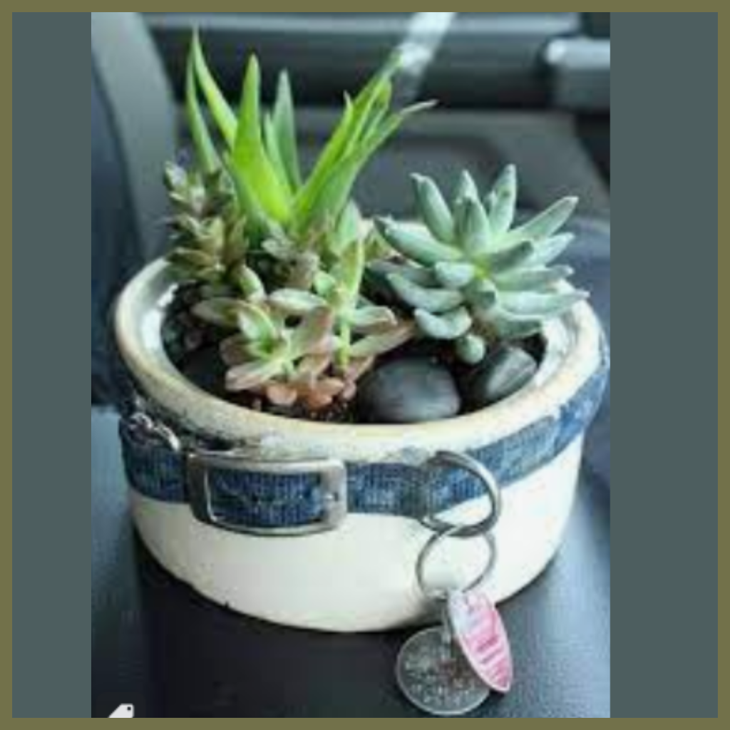 A collage of five images showing various pet memorial items, including succulent plants in pots adorned with dog collars and personalised tags, and close-ups of smooth memorial stones.
