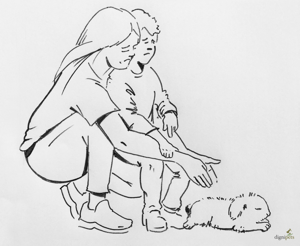 Rabbit Euthanasia At Home | Trusted End Of Life Care | Dignipets