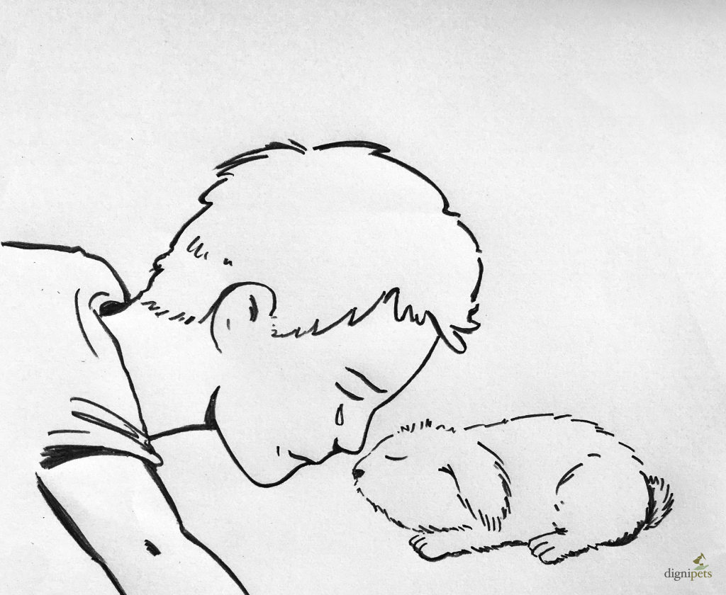 Rabbit Euthanasia At Home | Trusted End Of Life Care | Dignipets