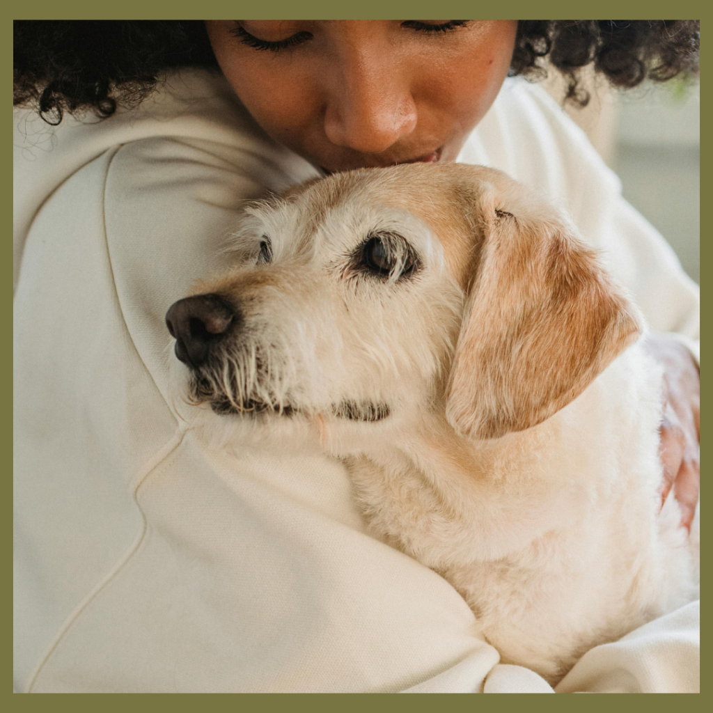 A person with dark curly hair gently kisses the forehead of an older, light-colored dog, conveying comfort and affection.