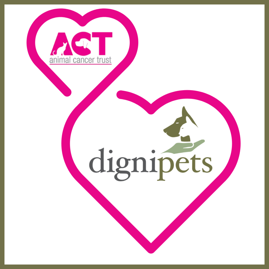 A graphic on a grey-blue background featuring three elements: the Animal Cancer Trust logo in pink at the top left, two interlinked pink heart outlines in the center, and the Dignipets logo in dark grey text with a dog and cat head design at the bottom right.