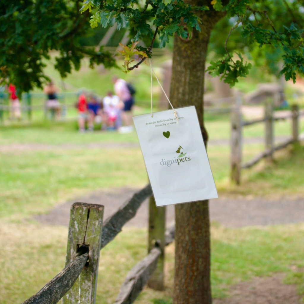 A collage of five photos with a central title "Dignipets Worcester Pet Memorial Walk 2025." The photos show a Dignipets bag hanging on a tree, people walking on a wooded path, a group gathered at an outdoor event, memorial notes hanging on a string, and a Dignipets tent set up at an event.