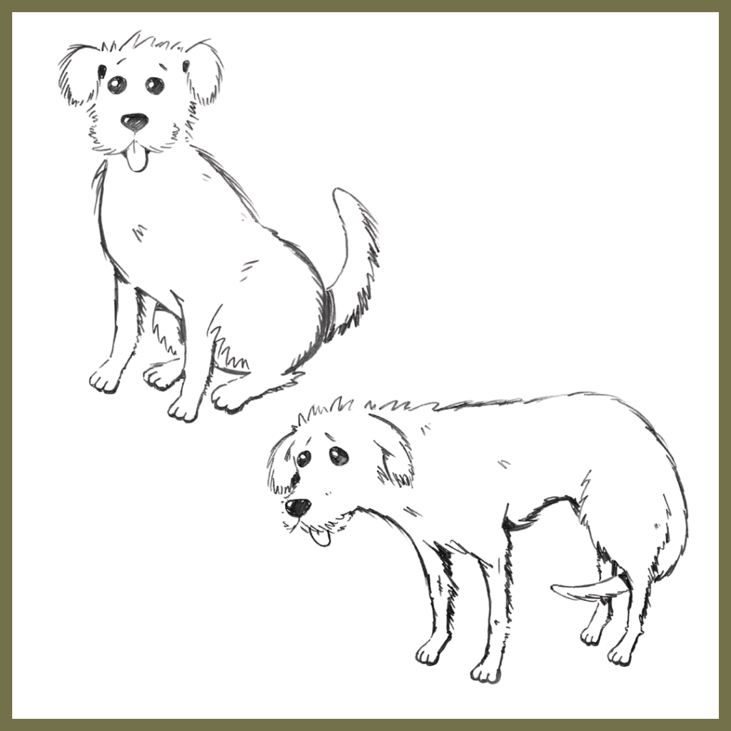 An illustration with the title "RECOGNISING PAIN IN DOGS," showing six line drawings of a dog in various postures that progress from alertness to increasing signs of pain and discomfort.