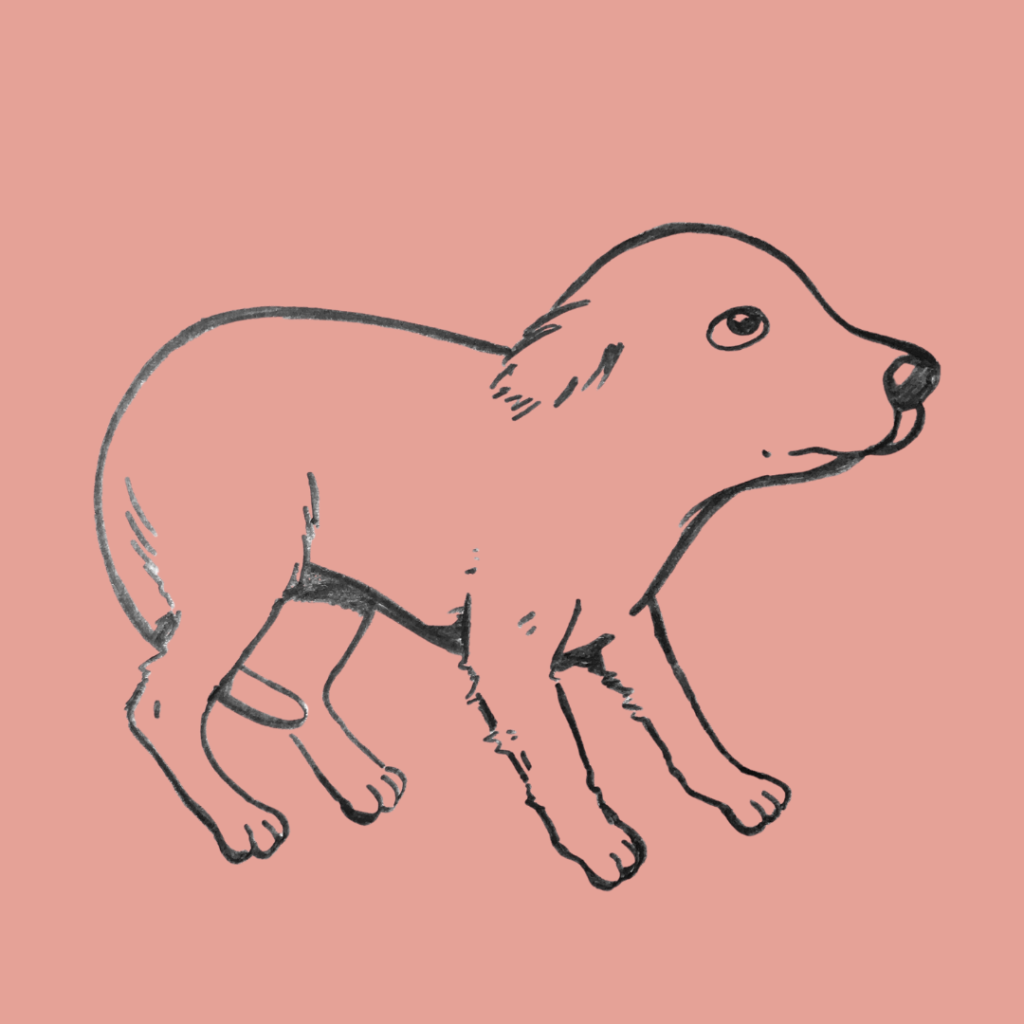 A person's hand gently petting the head of a golden retriever. The dignipets logo is in the top left.