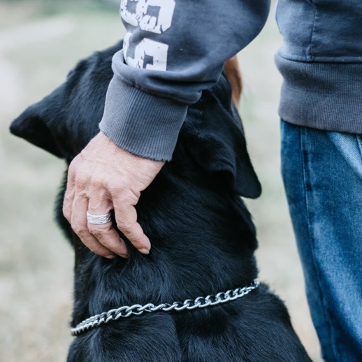 Peaceful pet goodbye: Give your dog a loving farewell with compassionate tips, emotional support, and gentle in-home vet care guidance.