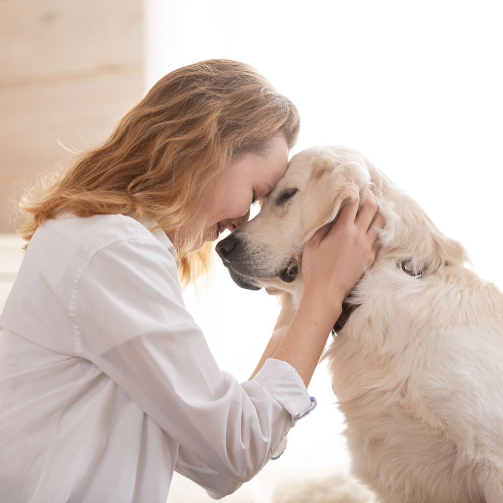 Image of a blond woman holding her head gently against a Golden Retriever.