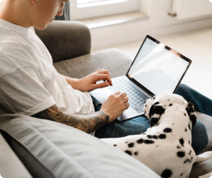 dalmation and man with laptop