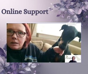 pet carer talking to team member