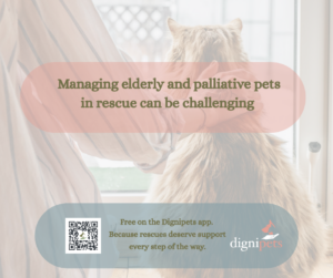 Supporting Rescue Pets with a Free Quality of Life Tool